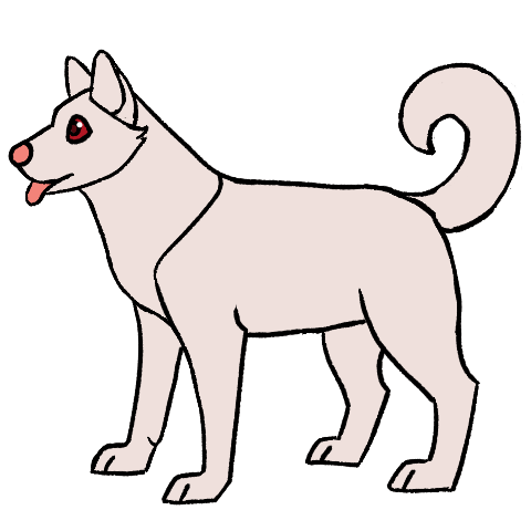 Albino
